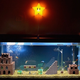 Illustration for article titled Watch A Super Mario Bros. Aquarium Get Built From Scratch